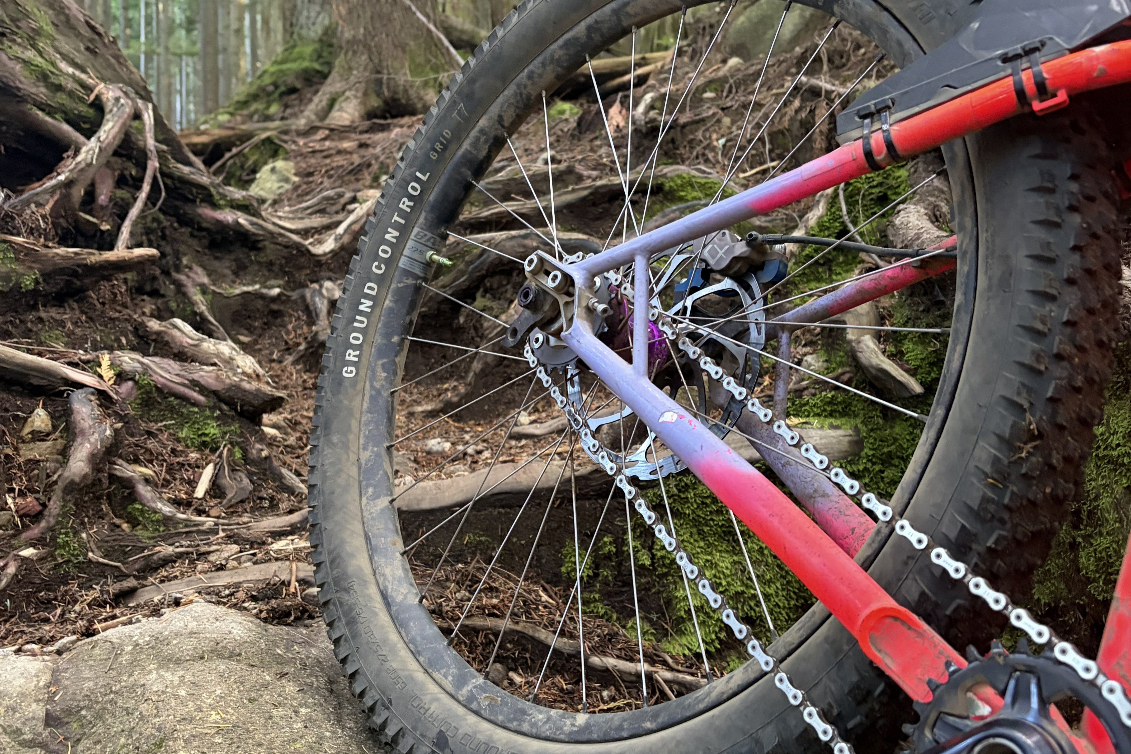 Specialized Wipes Out the All-Time Greatest Hardtail Rear Tire?!?