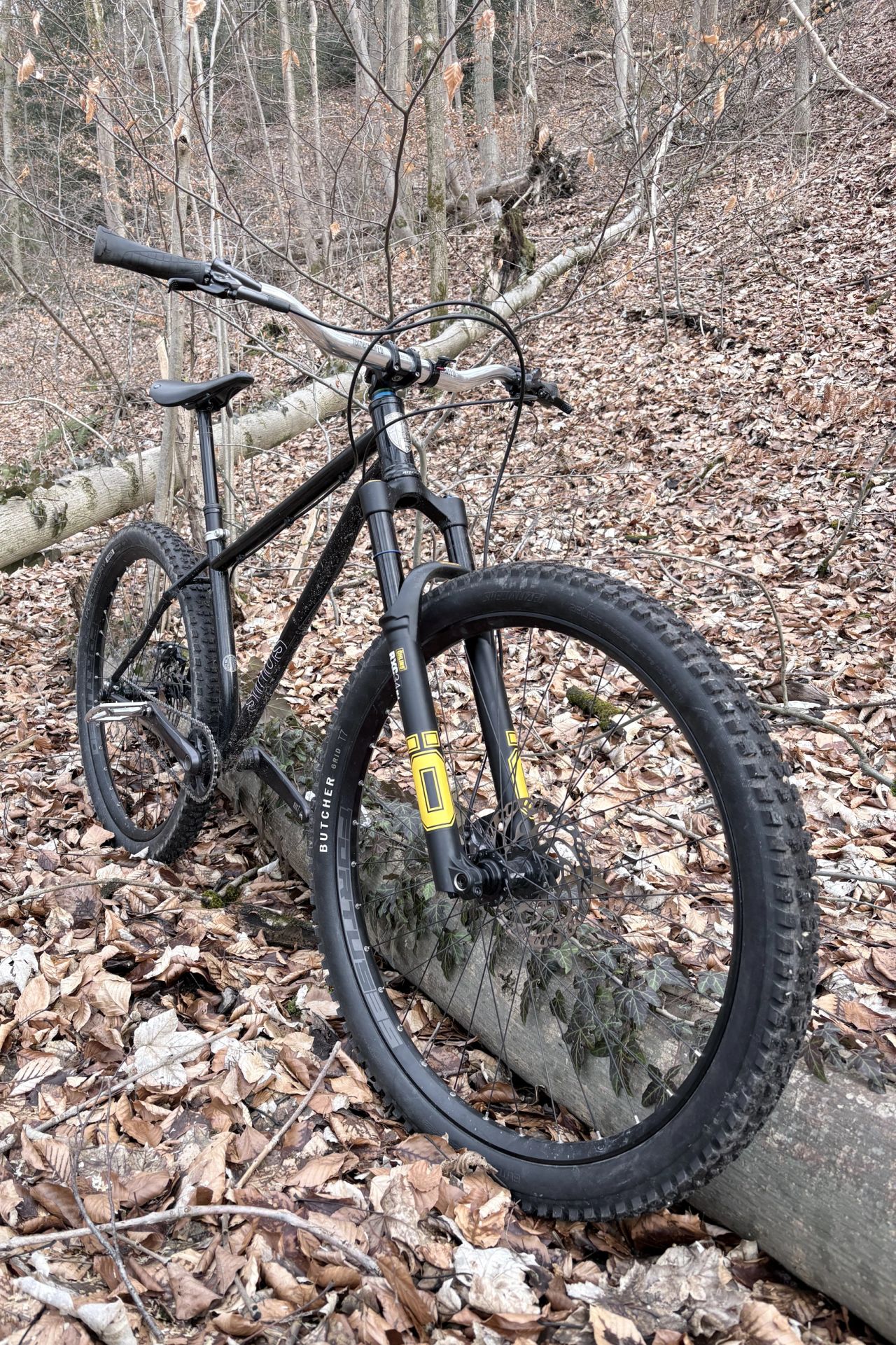About A Single Speed: Stephane’s Sirius