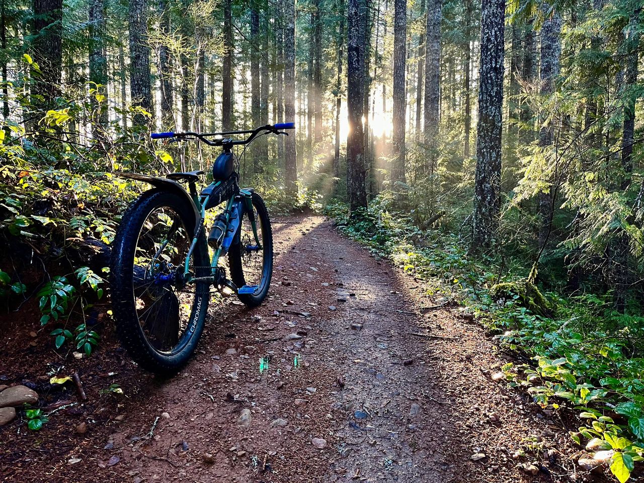 About A Single Speed: Vik’s Speedbomb