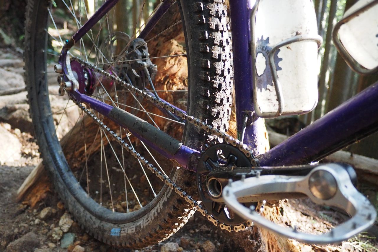 Single Speeding Ruins Everything
